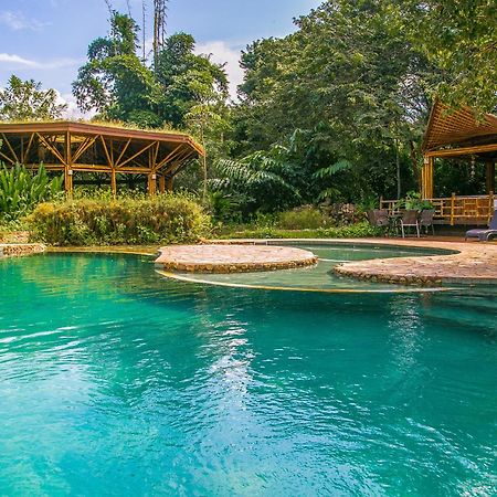 Banana Bamboo Ecolodge Ubatuba Ngoại thất bức ảnh
